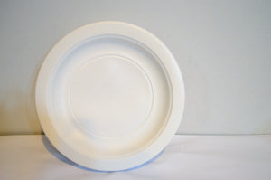 Disposable Biodegradable Plates