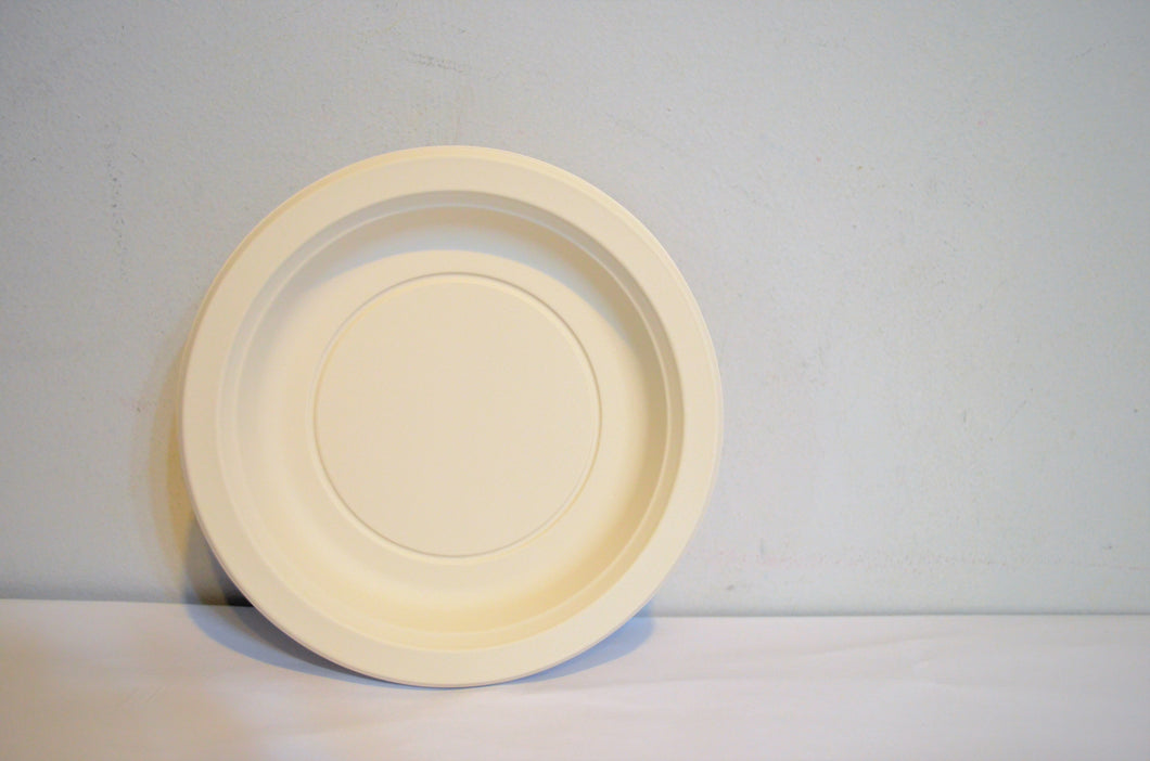 Disposable Biodegradable Plates