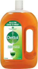 Load image into Gallery viewer, Dettol Antiseptic Germicide Liquid
